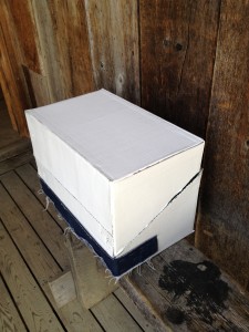 BREAD & PUPPET Printshop Internship: Week 8