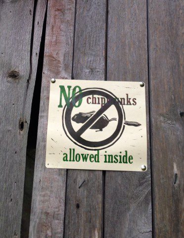 bread & puppet printshop internship: week 4