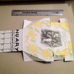 Bread & Puppet Printshop Internship Week 3