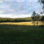 puppet printshop internship