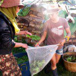 PUPPET Printshop Internship